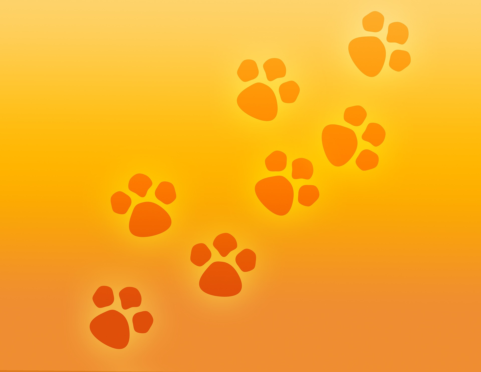Dog paw Print
